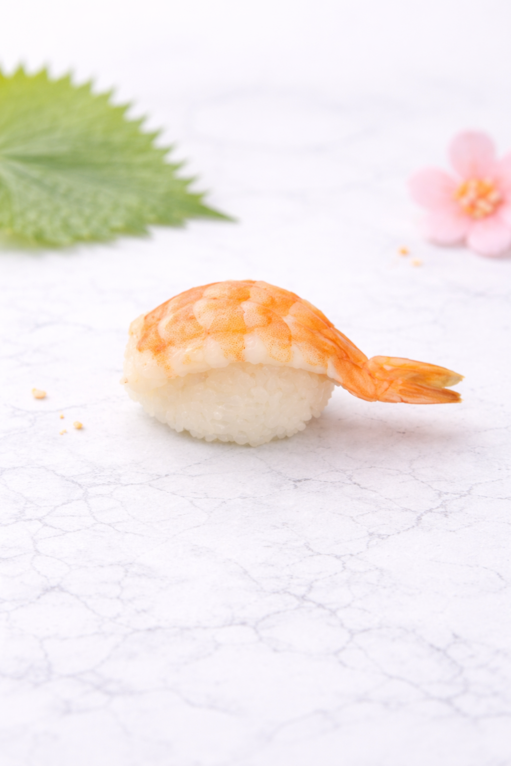 ซูชิกุ้ง